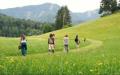 Naturretreat für Frauen 16.-18. Okt 2026