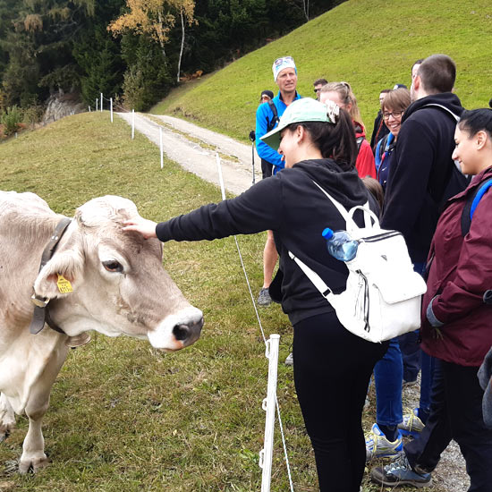 Business Incentive auf der Alm