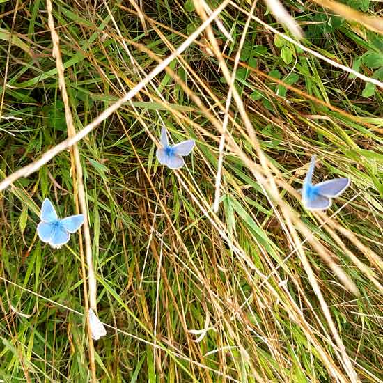 nartura-retreat-haus-natur-550 nartura retreat haus natur