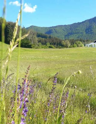 Natur Retreat Kaernten