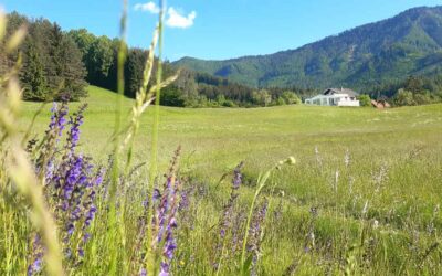 Retreat Haus Österreich