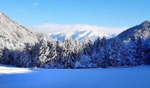 nartura winterklang tagesretreat